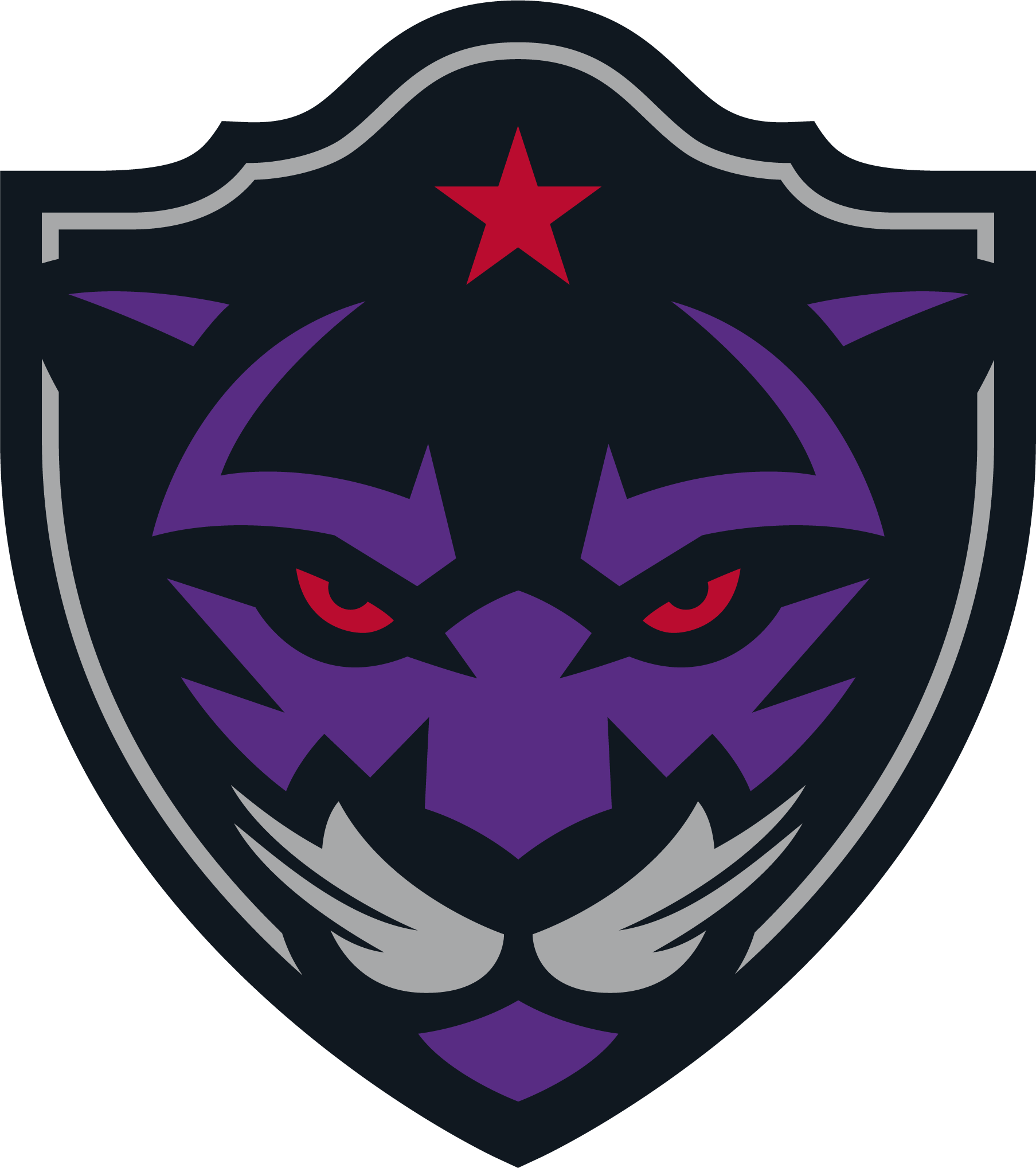 Panther City logo