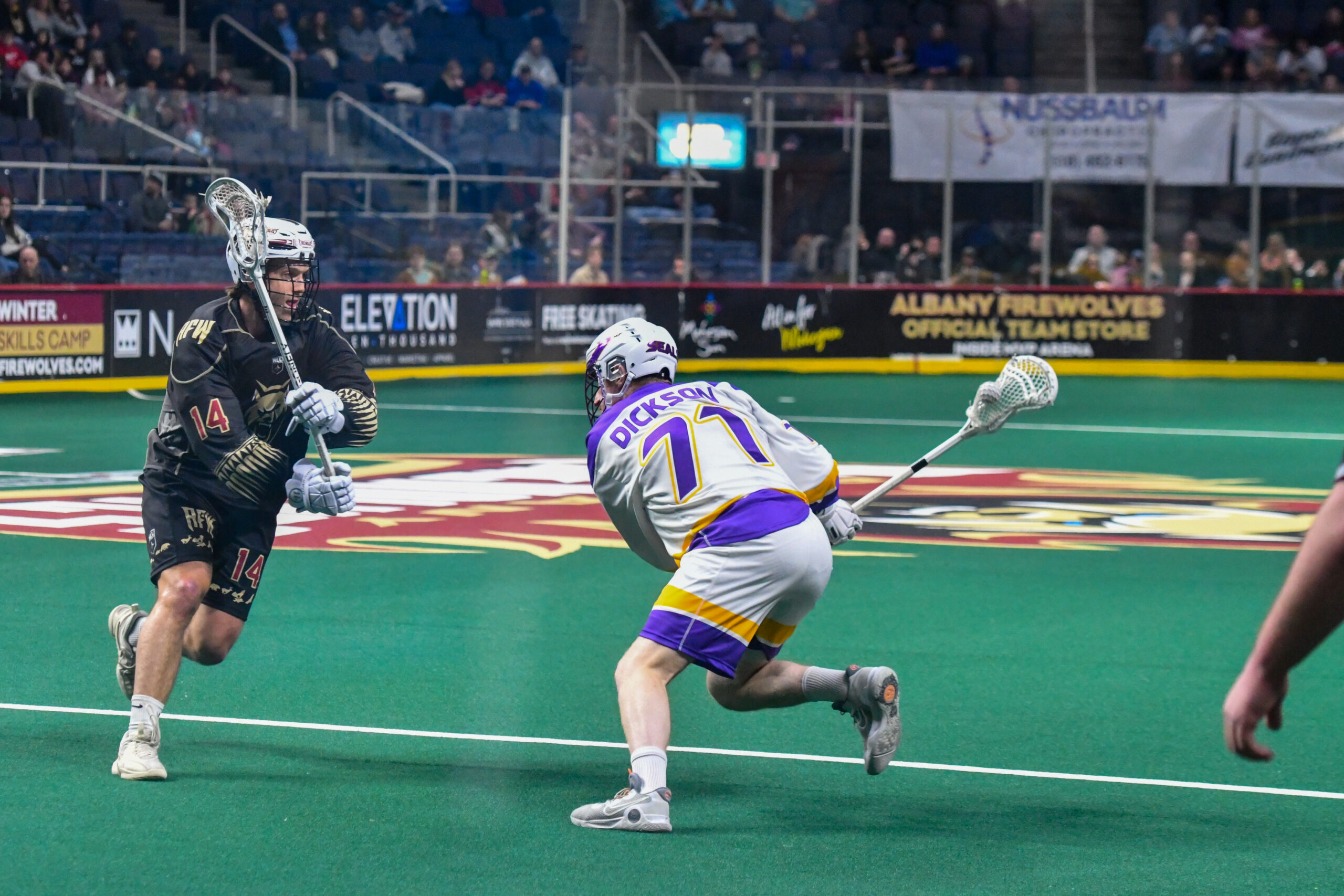 San Diego Seals vs Albany FireWolves Game Highlights NLL