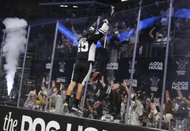 Hockey player celebrating with fans behind glass, fans cheer enthusiastically. Text: "the DOG HOUSE," "LAS VEGAS DESERT DOGS."