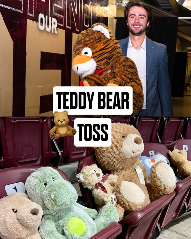 TEDDY BEAR TOSS ENGAGED 🧸